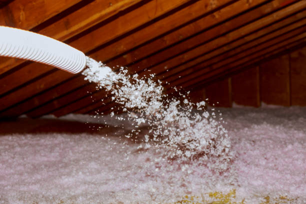 Best Residential Insulation in Mohave Valley, AZ